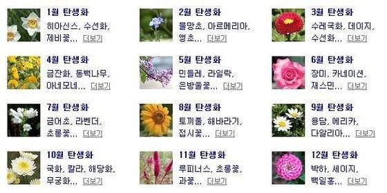 본문 이미지 - 사진=네이버 캡처. © News1  