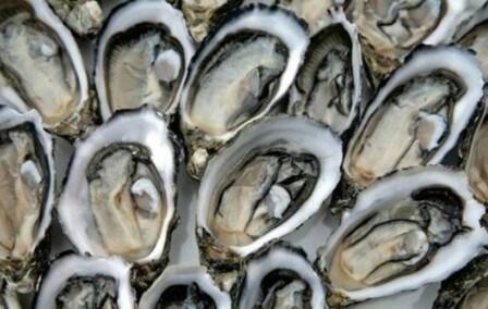 본문 이미지 - 굴의 효능. (출처 온라인 커뮤니티) © News1  