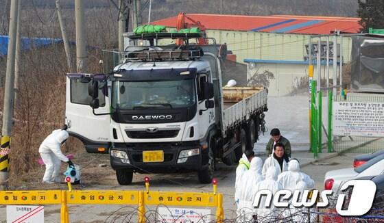 본문 이미지 - 17일 오후 고병원성 조류인풀루엔자&#40;AI&#41;가 발생한 전북 고창의 한 농가에서 방역당국 관계자들이 오리 2만여마리를 살처분할때 사용한 트럭을 소독하고 있다.2014.1.17/뉴스1 © News1   김대웅 기자