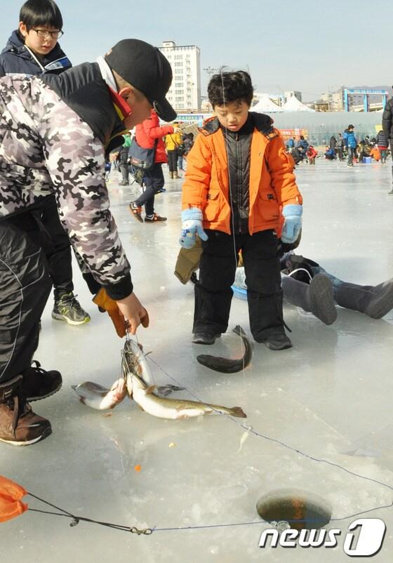 본문 이미지 - News1