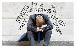 본문 이미지 - 파랑새증후군© News1  