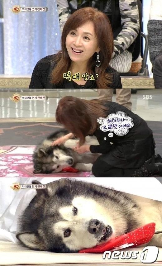 본문 이미지 - 스타킹 떡대 충연(SBS 스타킹 영상 캡쳐)© News1  