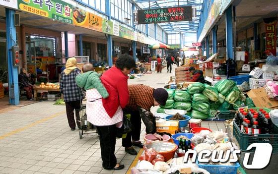 본문 이미지 - © News1 