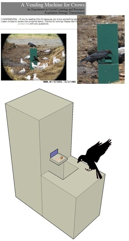 본문 이미지 - 온라인 커뮤니티. © News1  