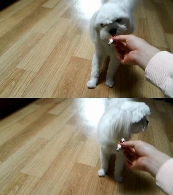 본문 이미지 - 박모씨가 자신의 페이스북에 게재한 문제의 영상 캡처. © News1  