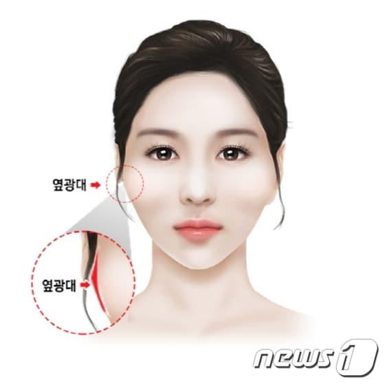 본문 이미지 - ⓒ News1