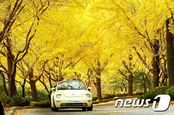 본문 이미지 - 뉴스1DB