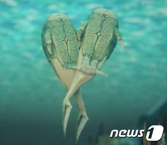 본문 이미지 - 최초의 암수 교미 생물로 알려진 판피어 마이크로브라키우스의 짝짓기 모습 복원도.(플린더스대학 제공)ⓒ News1