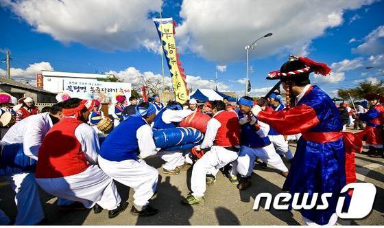 본문 이미지 - 해남군 북평면에서 28일 재현될 500년 전통의 용줄다리기 모습./사진제공=해남군ⓒ News1