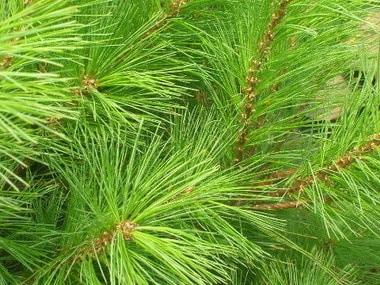 본문 이미지 -  ⓒ News1