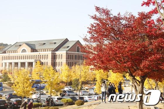 본문 이미지 - (내용과 관련없는 사진)ⓒ News1 권혜민 기자
