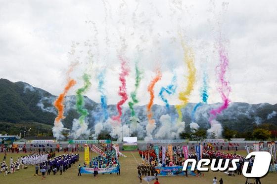 본문 이미지 - 강원 인제 합강문화제 개막식.(자료사진)/뉴스1 DB