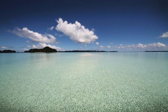 본문 이미지 - 팔라우의 바다. ⓒ News1