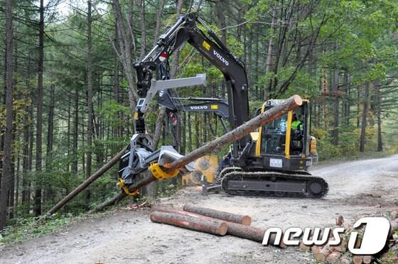 본문 이미지 - 7일 강원도 평창군 대화면 하안미리 가리왕산에서 열린 "고성능 임업기계장비 하베스터 실연회"에서 임업기계장비인 하베스더와 스윙야더를 이용한 원목수집 실연이 펼쳐지고 있다. (사진제공=동부지방산림청) 2014.10.7/뉴스1 ⓒ News1 서근영 기자