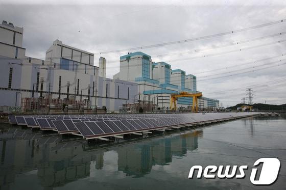 본문 이미지 - ⓒ News1