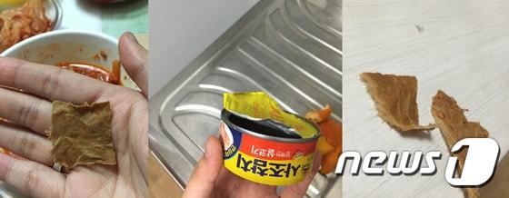 본문 이미지 - 사조참치캔 제품에서 이물질이 나왔다는 글이 유명 포털사이트 게시판에 게재되면서 논란이 일고 있다. /사진 = 네이트 ⓒ News1