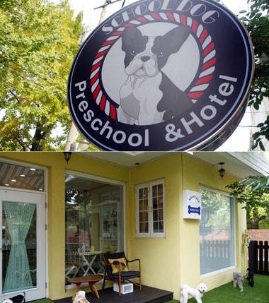 본문 이미지 - ⓒ News1