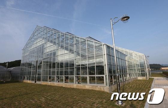 본문 이미지 - 이달 완공 예정인 괴산 유기농생태체험관 전경. 사진제공 = 괴산군청 ⓒ News1
