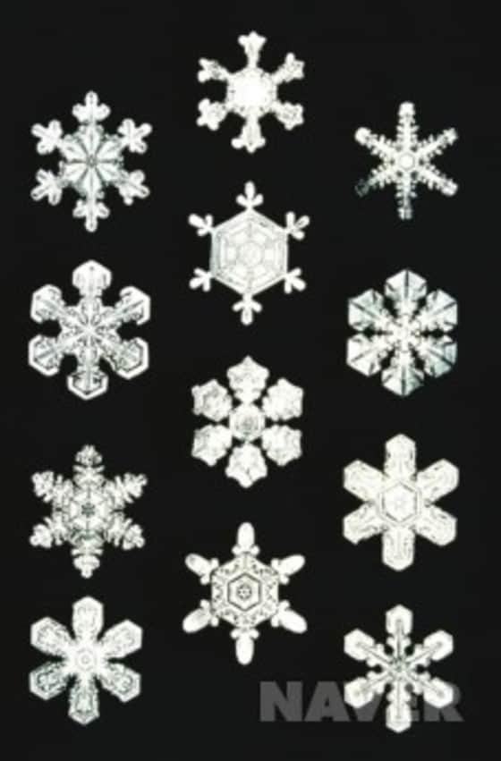 본문 이미지 - 눈 결정은 3000종이 넘는 다양한 형태를 지니고 있다. ⓒ 사진 출처 네이버 ⓒ News1