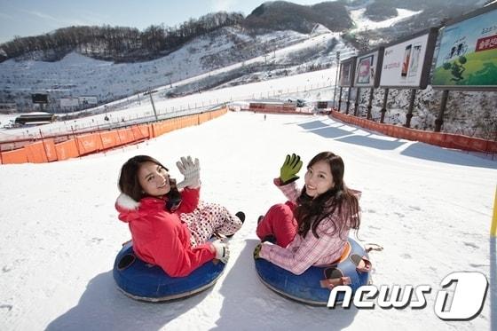본문 이미지 - 곤지암리조트 눈썰매장. ⓒ News1