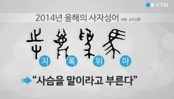 본문 이미지 - YTN 방송 화면