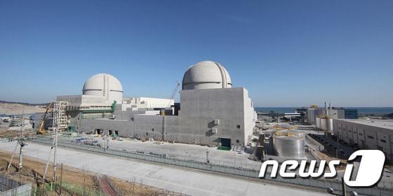 본문 이미지 - 신고리원자력발전소 3·4호기 ⓒ News1