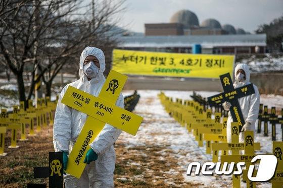 본문 이미지 - 사진제공=그린피스 ⓒ News1