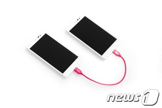 본문 이미지 - 케이블에 두 대의 휴대폰을 연결하면 화살표(→)방향으로 충전이 된다. © News1 