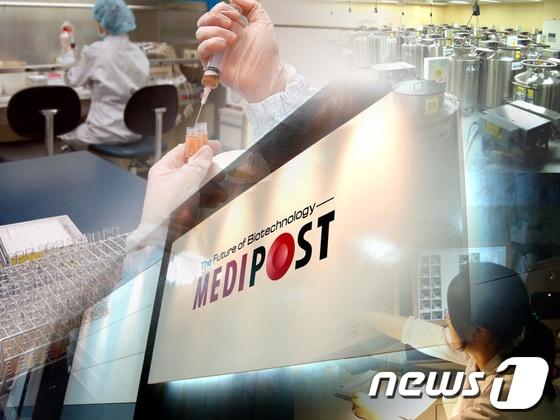 본문 이미지 - © News1 