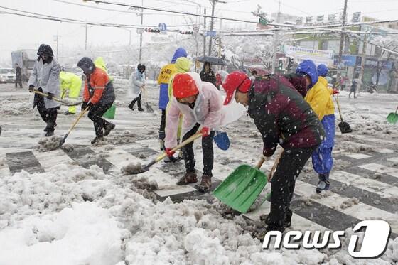 본문 이미지 - 울산 북구 직원들이 10일 화봉사거리에서 제설작업을 하고 있다. (울산 북구청 제공) © News1  