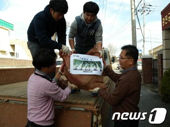 본문 이미지 - 장흥교도서는 재소자들이 작년말 수확한 '사랑의 무'를 강진군에 전달했다./사진제공=강진군 © News1 