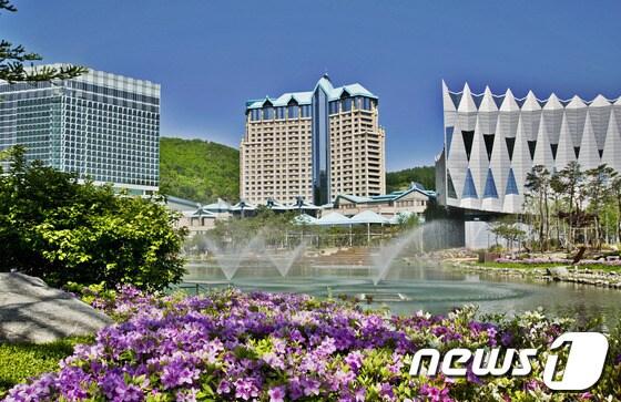 본문 이미지 - 봄철 하이원 리조트 전경. (사진제공=하이원) 2014.2.24/뉴스1 © News1 하중천 기자   
