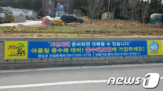본문 이미지 - 사진제공=완도군© News1 
