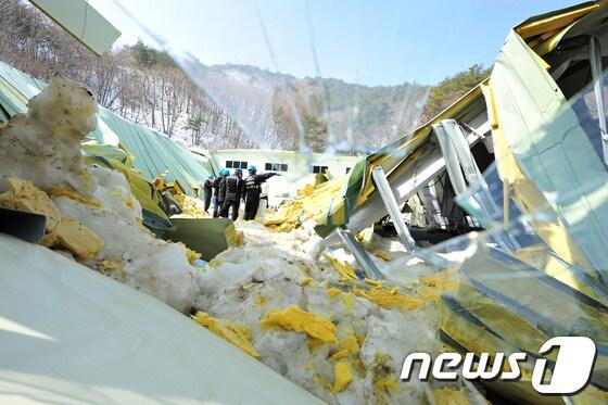 본문 이미지 - 지난 2월 115명의 사상자가 난 경북 경주시 마우나오션 리조트 체육관 붕괴 현장. 2014.2.25/뉴스1 © News1   최창호 기자