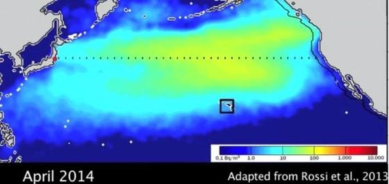본문 이미지 - &#40;우즈홀 해양학연구소 제공&#41; © News1 