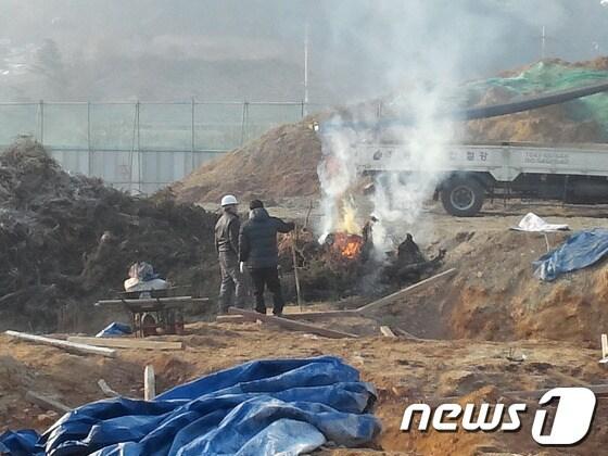 본문 이미지 - 지난 22일 제천 명지초등학교 공사현장에서 시공회사  관계자들이  임목폐기물을 불법으로 소각하고 있다.© News1 