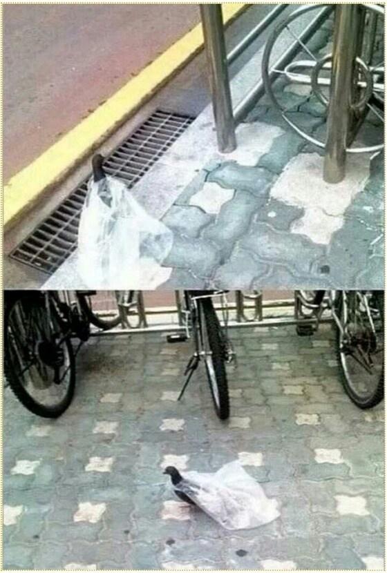 본문 이미지 - 온라인 커뮤니티. © News1  