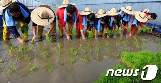 본문 이미지 - ./뉴스1 © News1 이성래 인턴기자