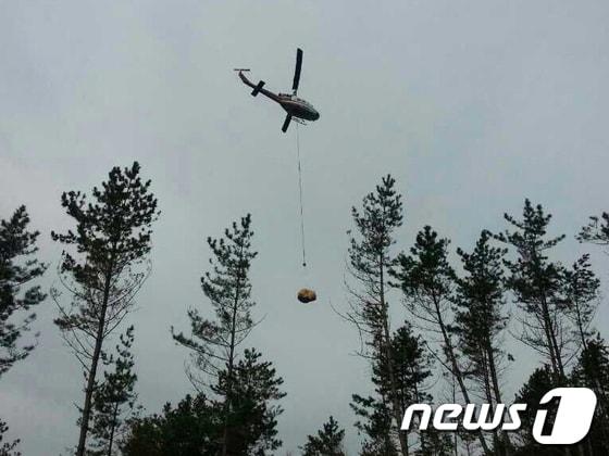 본문 이미지 - 소나무재선충병 항공방제작업 모습.  © News1   김규신 기자
