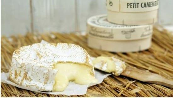 본문 이미지 - 치즈가 함유된 음식은 설사로 고통받을 때 반드시 피해야 할 음식이다. ⓒ News1