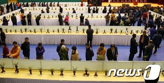 본문 이미지 - 22일부터 이틀간 함평농어민문화체육센터에서 열린 2014 대한민국 난 명품 대제전이 성황리에 끝났다/사진제공=함평군 © News1 