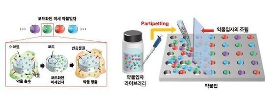 본문 이미지 - 코드화된 미세 약물 입자와 약물 칩의 제작 과정© News1  