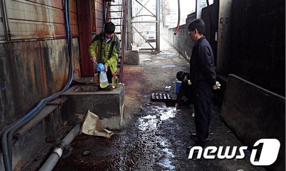 본문 이미지 - 식료품업을 하는 한 업체가 식품세척 폐수를 우수로에 무단배출하다가 적발됐다. (환경부 제공) ⓒ News1