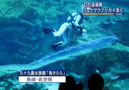 본문 이미지 - 산갈치 © 유튜브 