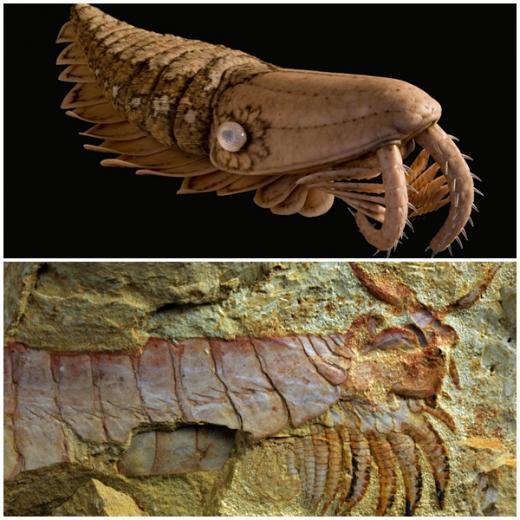 본문 이미지 - 라이브 사이언스.© News1  