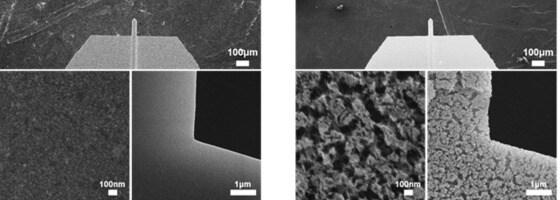 본문 이미지 - 일반 원자력 현미경 탐침(캔틸레버·왼쪽)과 다공성 나노구조체로 덮인 캔틸레버.(미래창조과학부 제공) © News1  