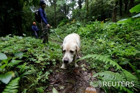 본문 이미지 - ©로이터= News1 