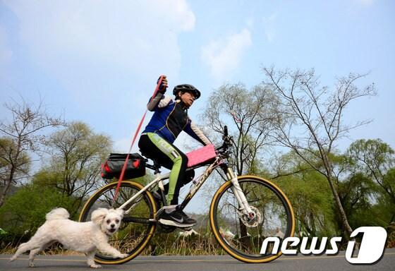 본문 이미지 - © News1 박정호 기자