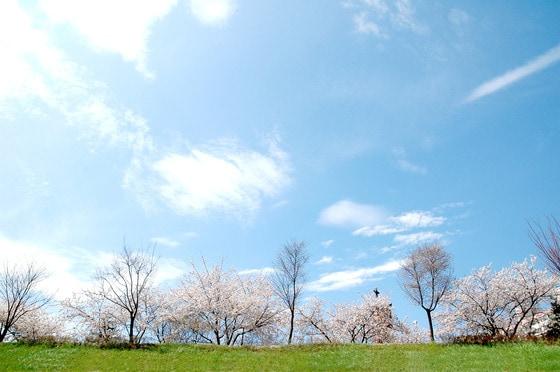 본문 이미지 - ㈜아사달이 한국저작권위원회의 '공유마당'에 무료 제공하는 이미지. © News1  