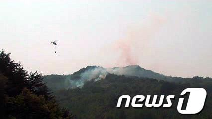 본문 이미지 - 25일 오후 2시 12분께 양양군 현남면 포매리 현불사 인근 야산 정상에서 불이나 사유림 0.04㏊를 태우고 1시간 15분여 만에 꺼졌다.&#40;사진제공=속초소방서&#41; 2014.4.25/뉴스1 © News1
